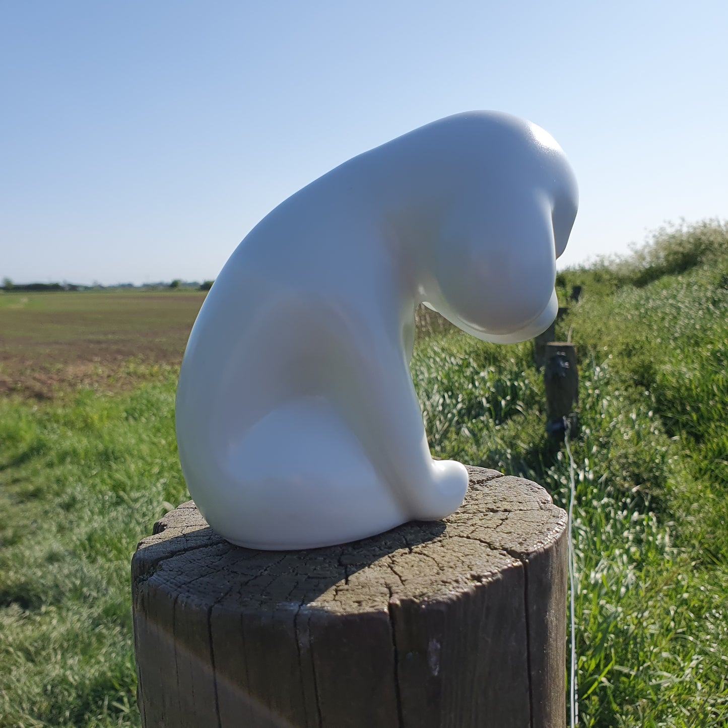 Sad Puppy - Rooo-Star