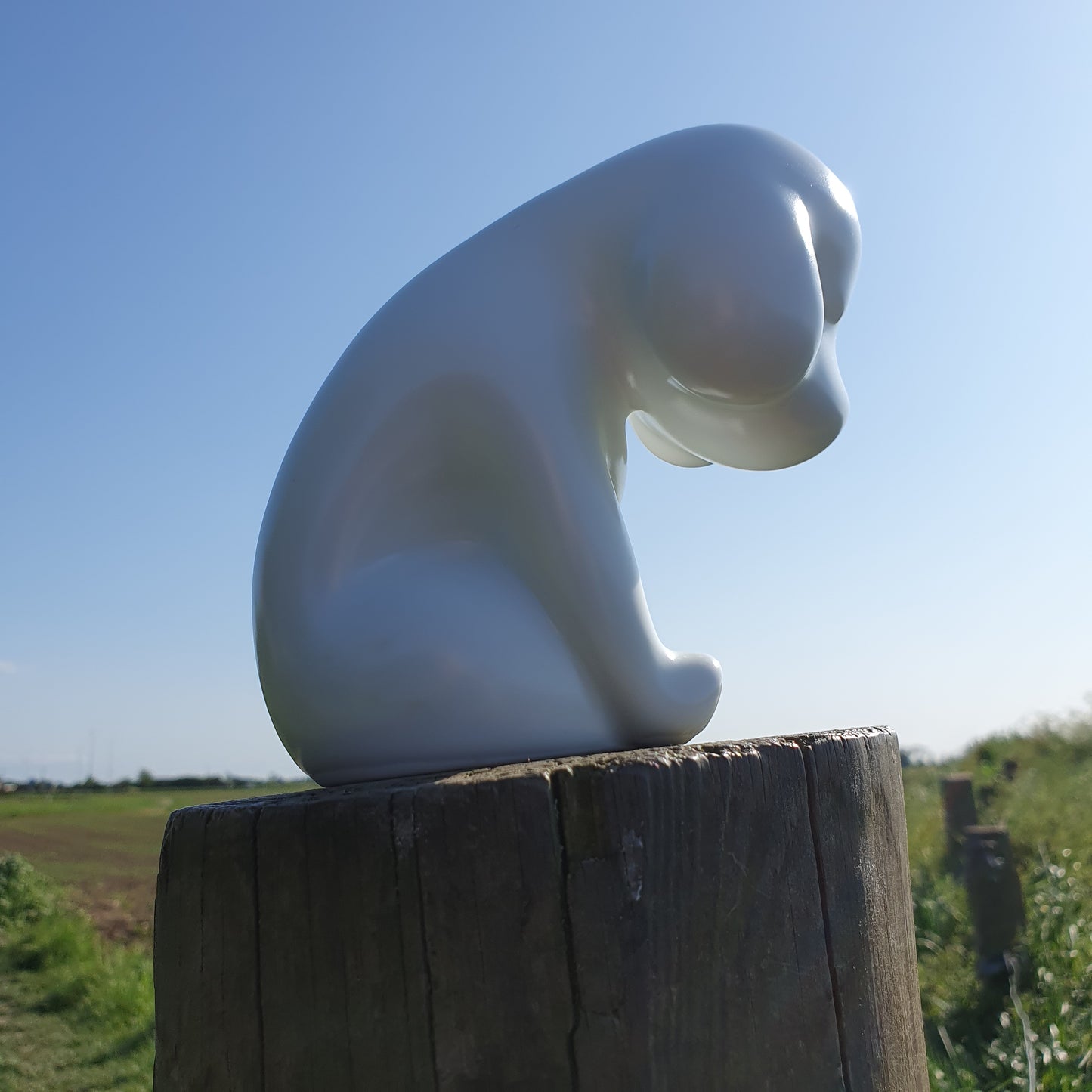 Sad Puppy - Rooo-Star