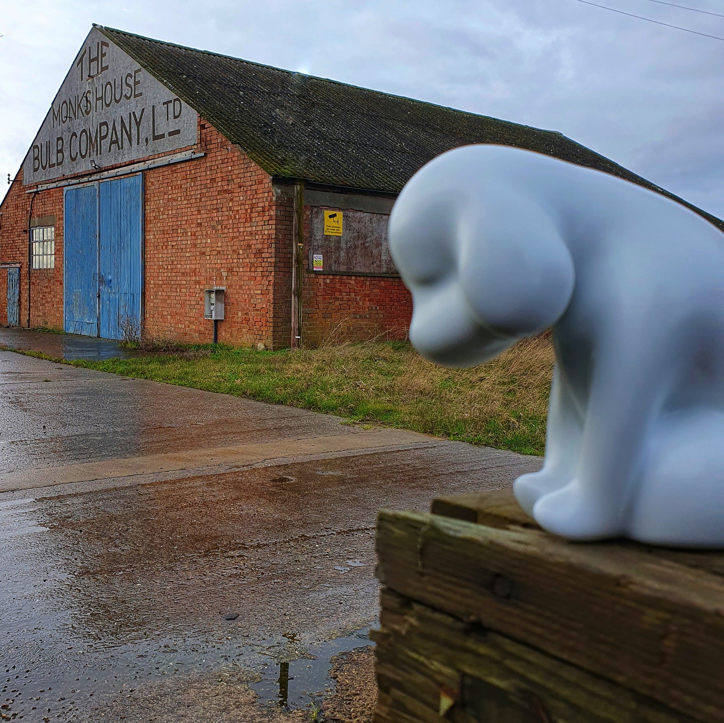 Sad Puppy - Rooo-Star