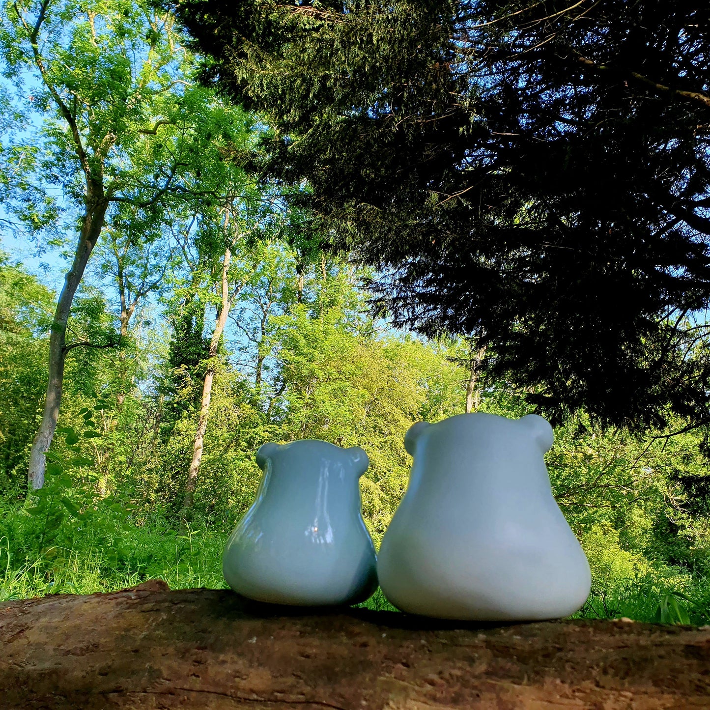 Chi Chi & An An - Rooo-Star