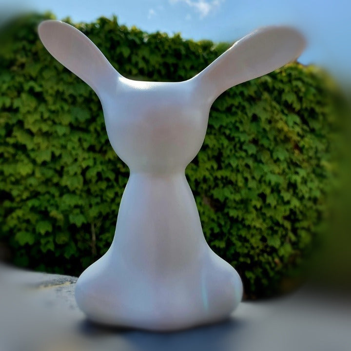 Big Eared Bunnies - Rooo-Star