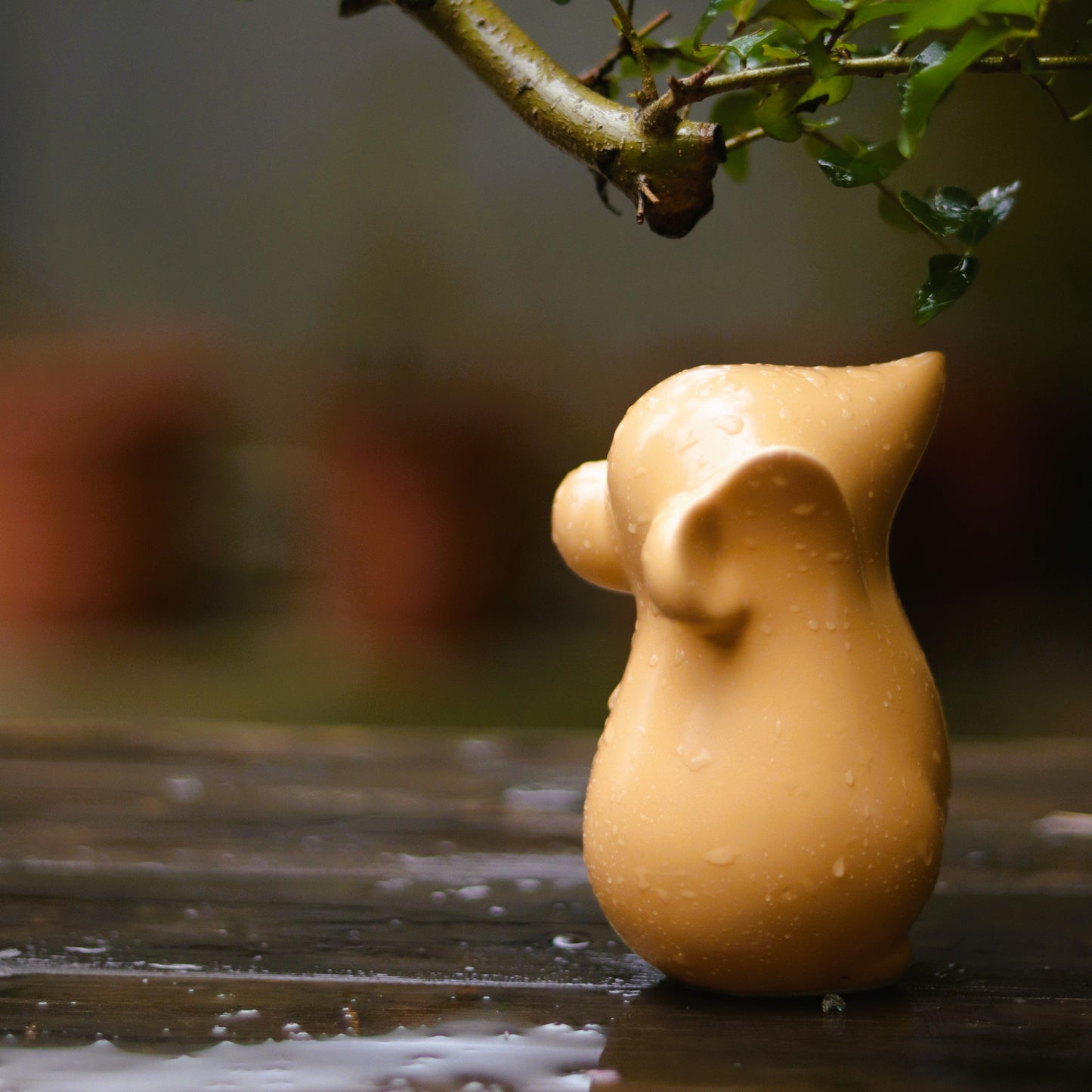 Roland Ratz - Rooo-Star