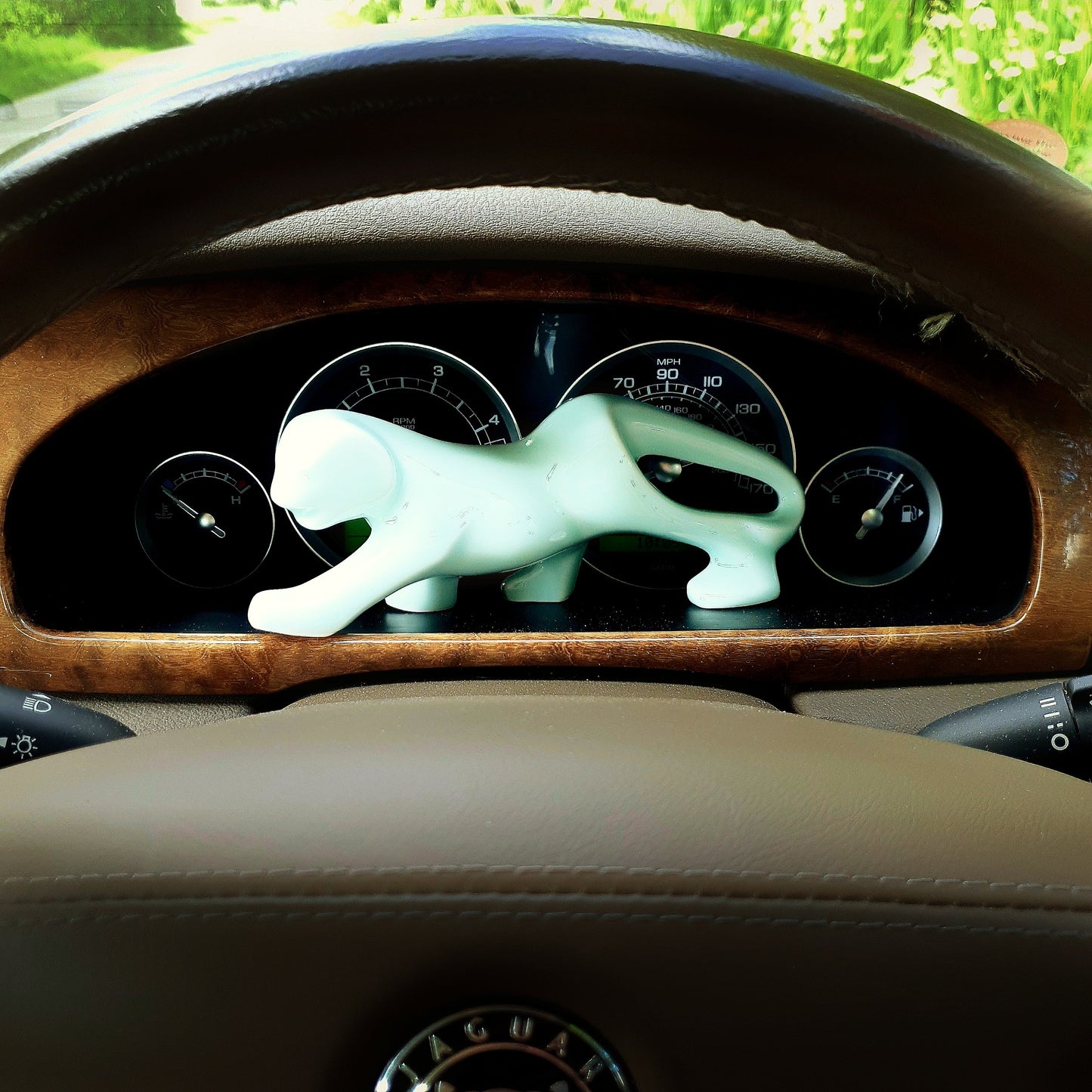 Shengwei Tiger - Rooo-Star